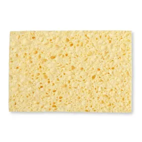 A Slice Of Green Cellulose Household Sponge