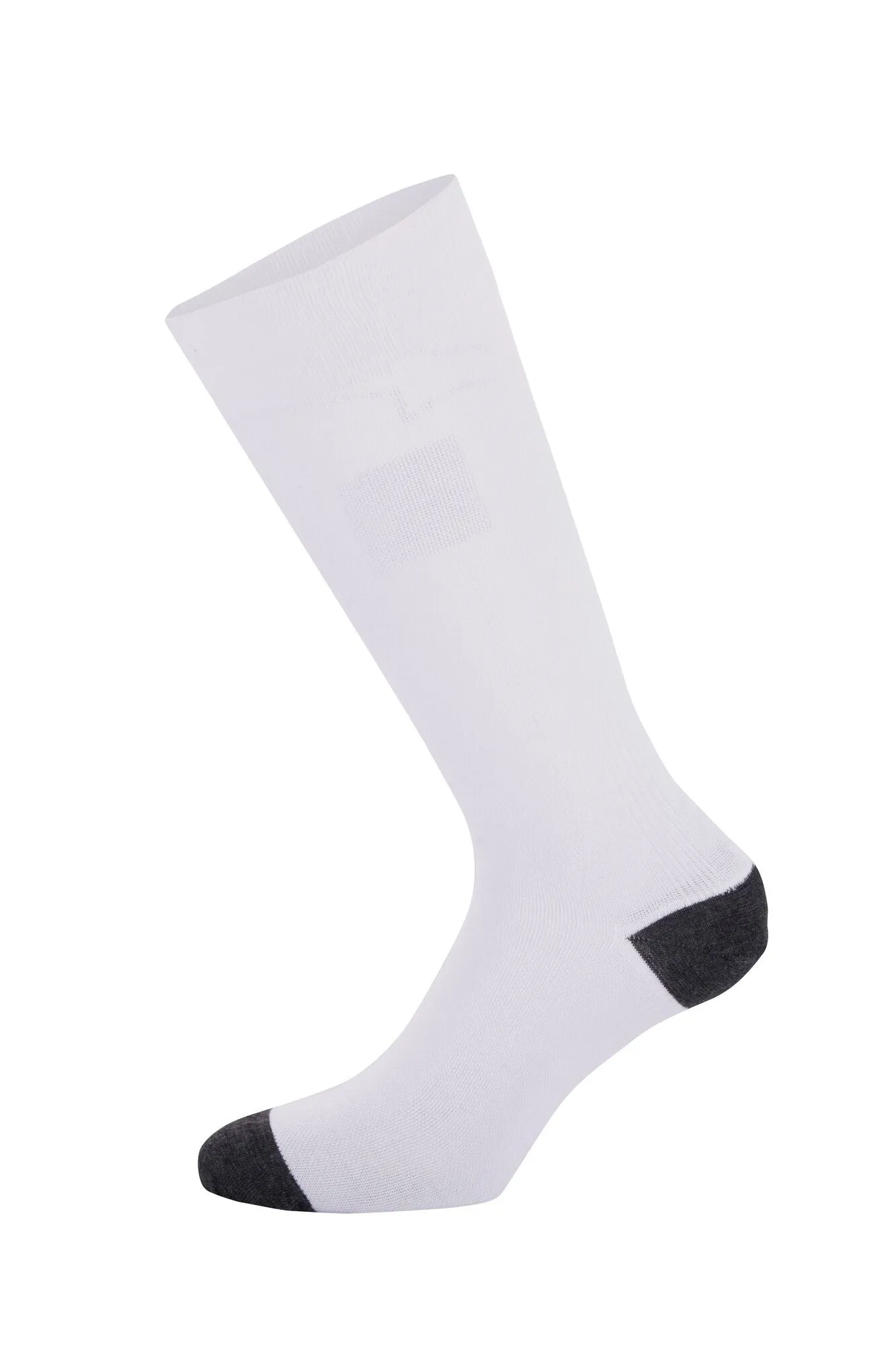 ALPINESTARS 4704323_20_L ZX V4 Racing socks, FIA 8856-2018, white, Size L