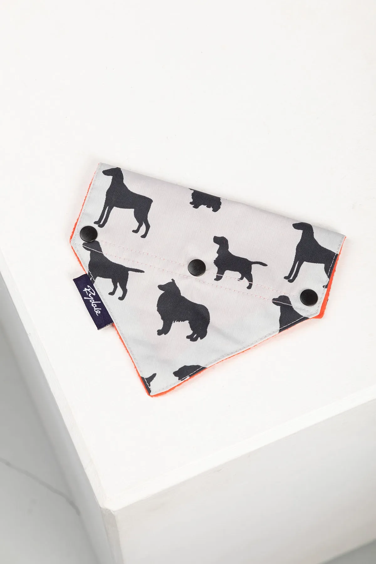 Dog Bandana