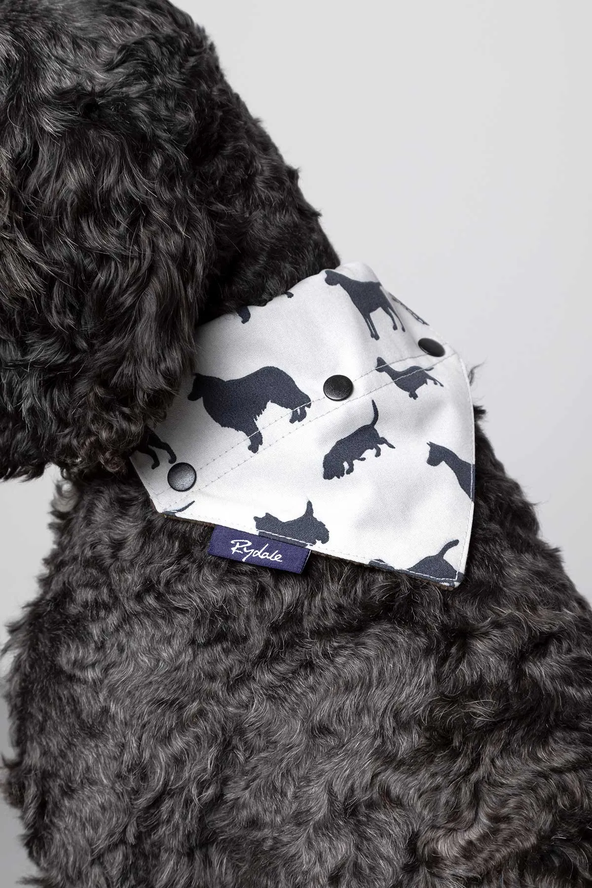 Dog Bandana