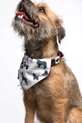 Dog Bandana