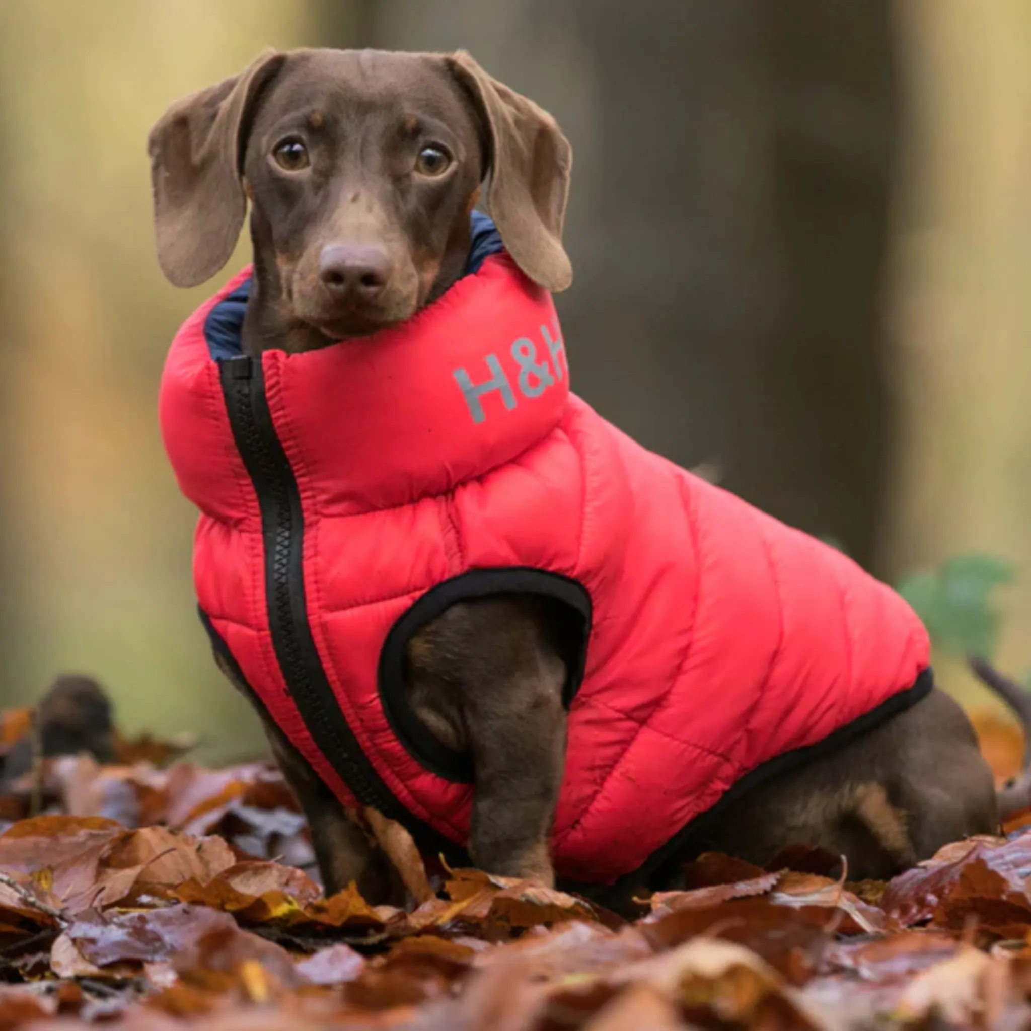 Hugo & Hudson Dog Puffer Jacket Reversible Red & Navy