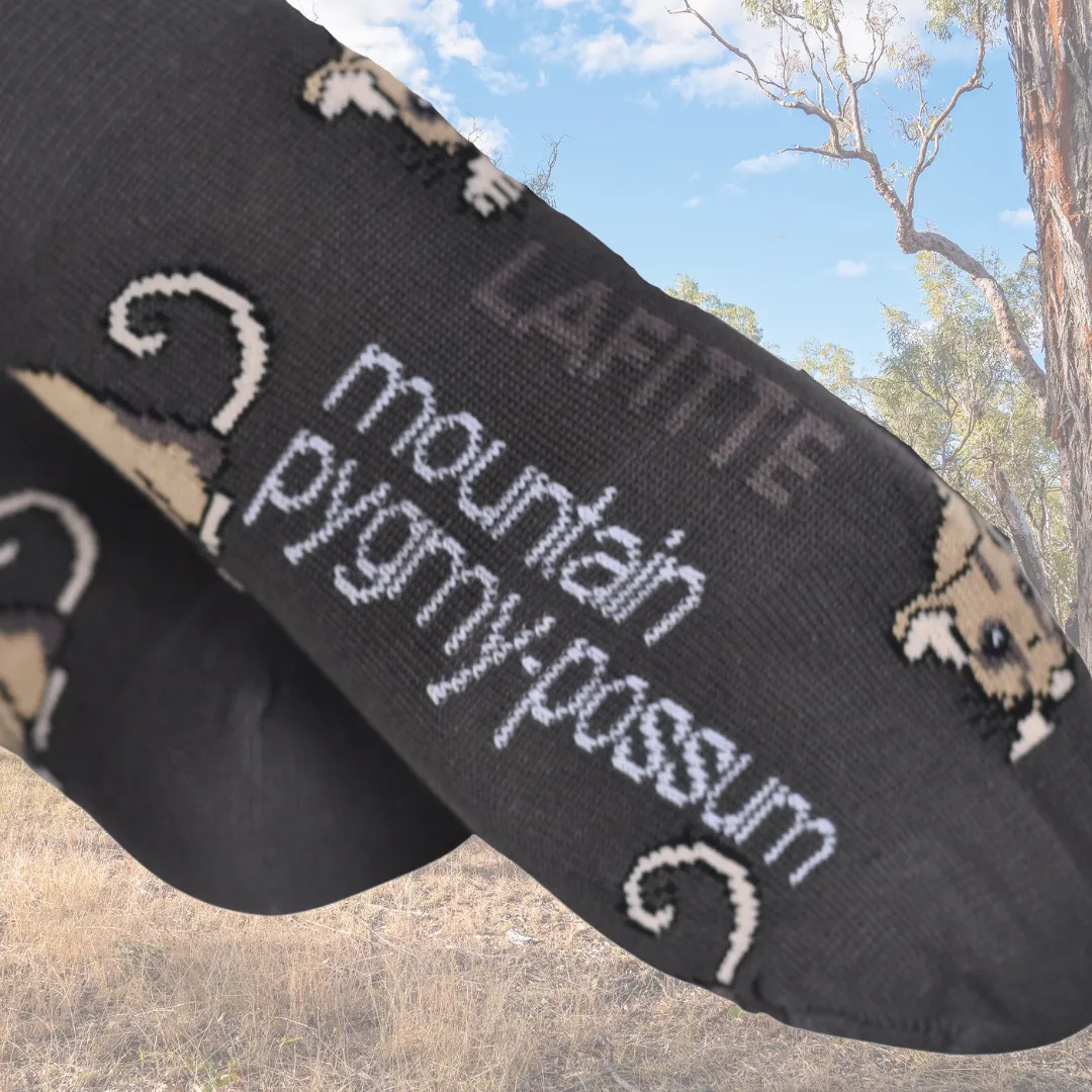 Mountain Pygmy Possum Bamboo Crew Socks in Slate Grey - Aussie Made