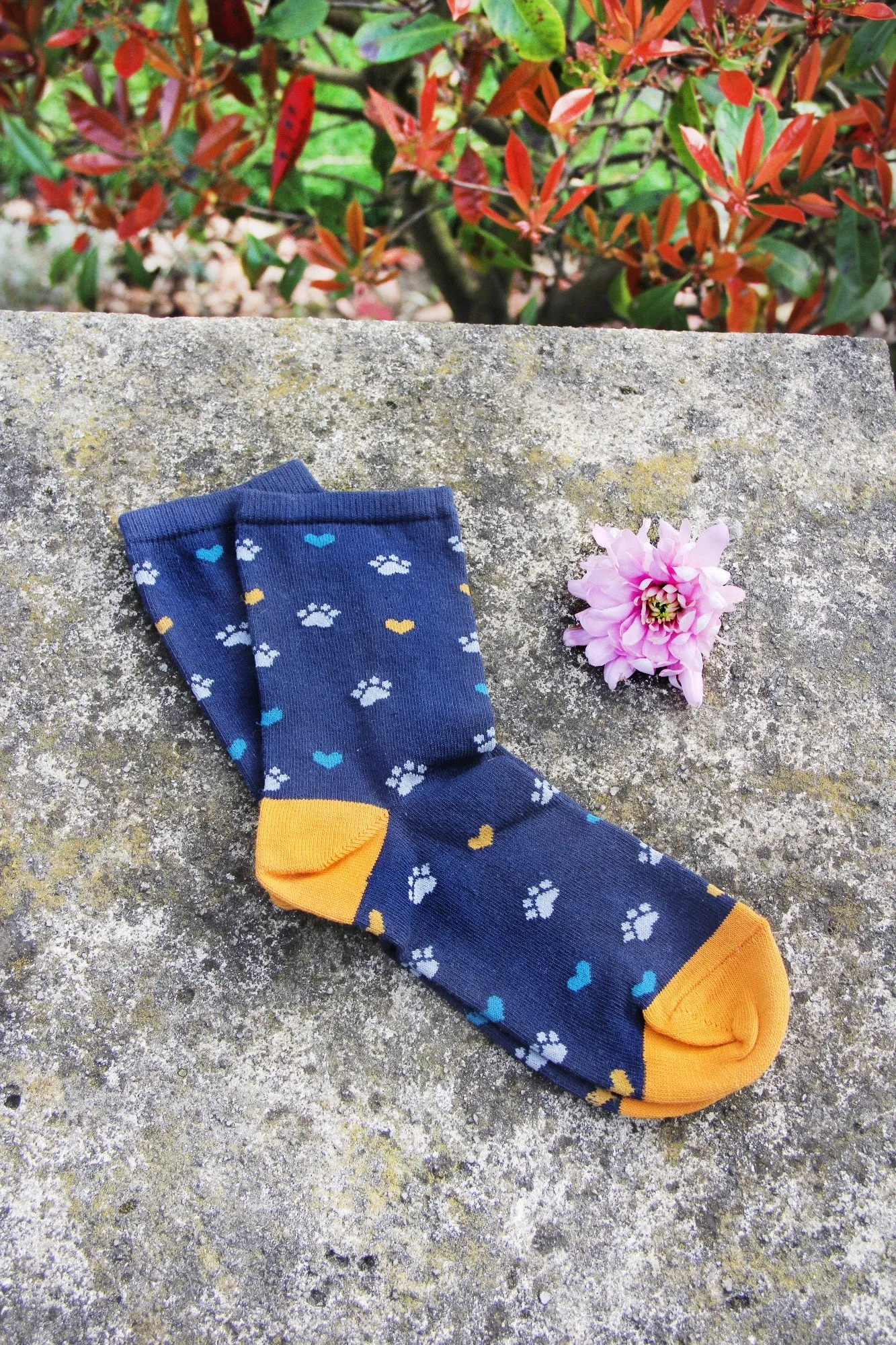 Paw Print Women's Socks